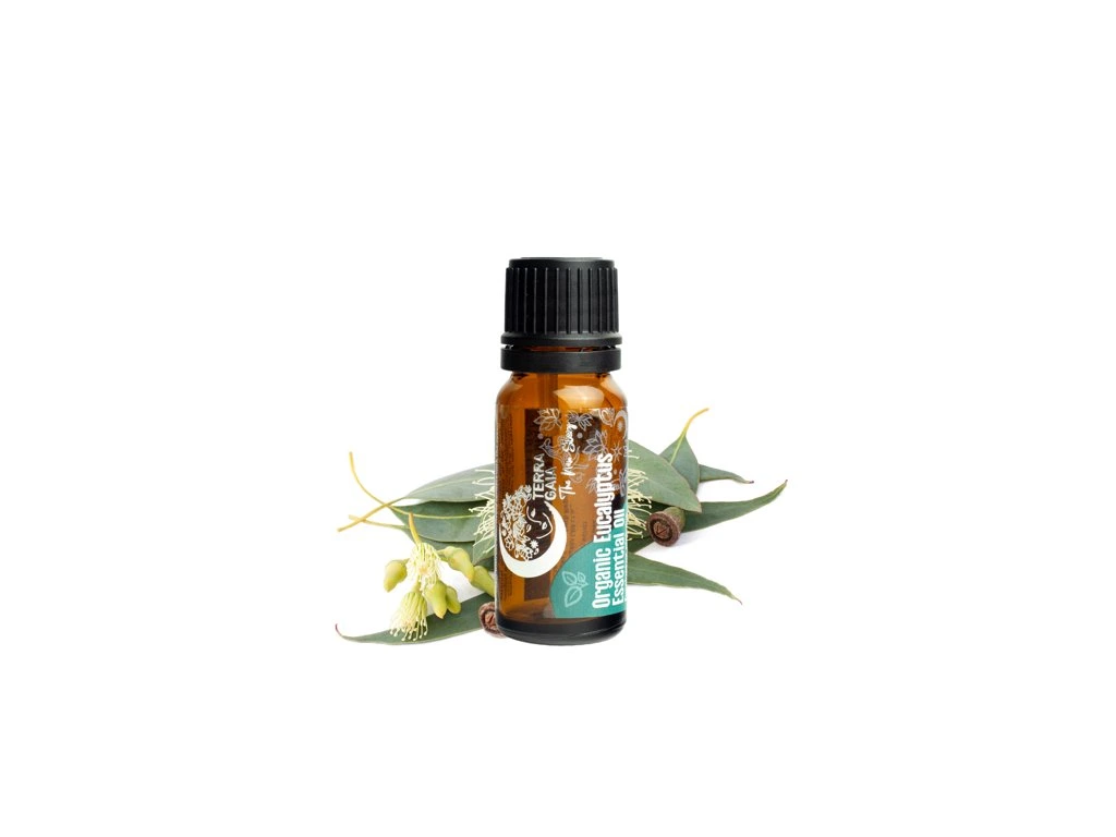 Ulei esențial organic de eucalipt 10 ml Ulei esențial organic de eucalipt 10 ml