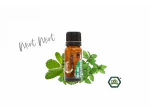 Amestec de uleiuri esențiale organice de mentă 10 ml